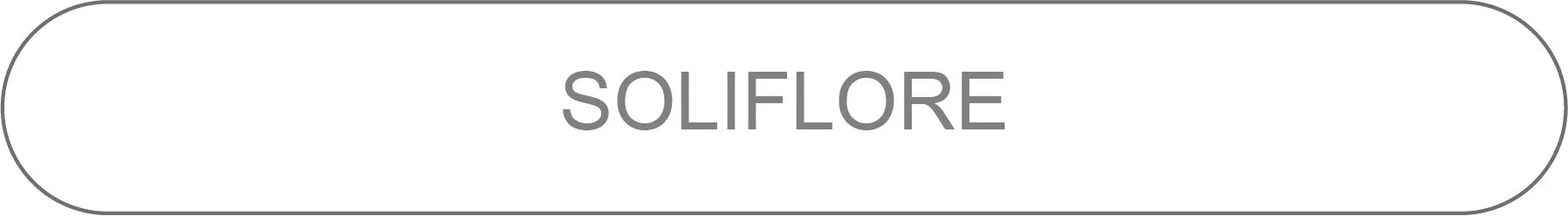 soliflore collection wallpaper